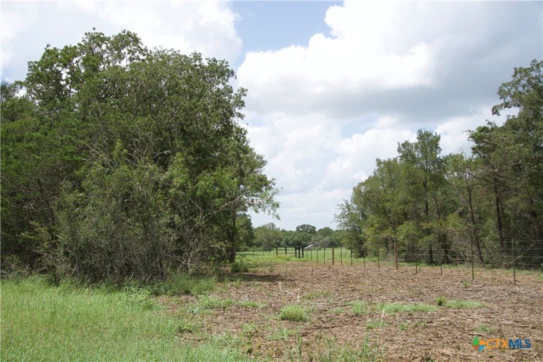 24.52 acres in Bastrop County - photo 8