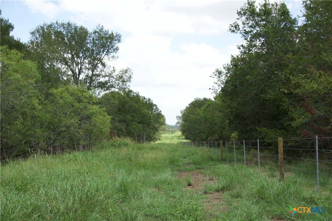 24.52 acres in Bastrop County - photo 10