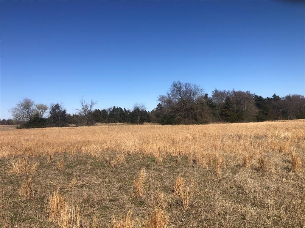 106.96 acres in Hopkins County - photo 7