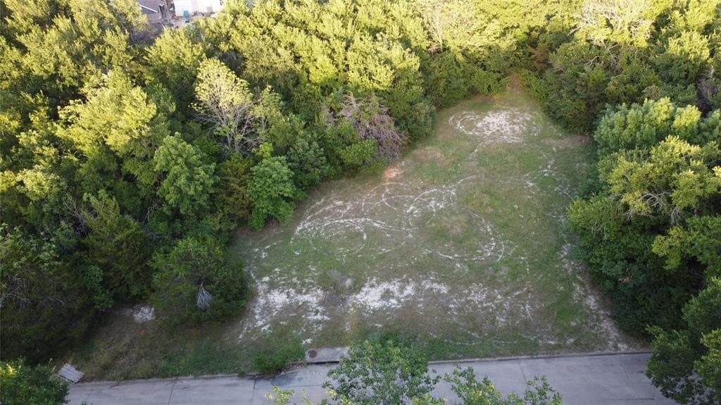0.35 acres in Dallas County - photo 4