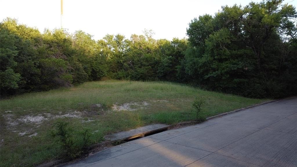 0.35 acres in Dallas County - photo 3