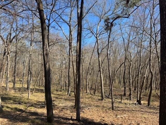 4.28 acres in Anderson County - photo 4