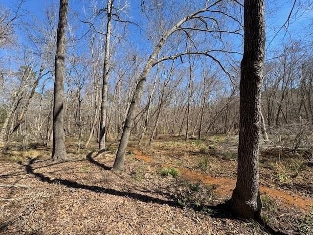 4.28 acres in Anderson County - photo 6