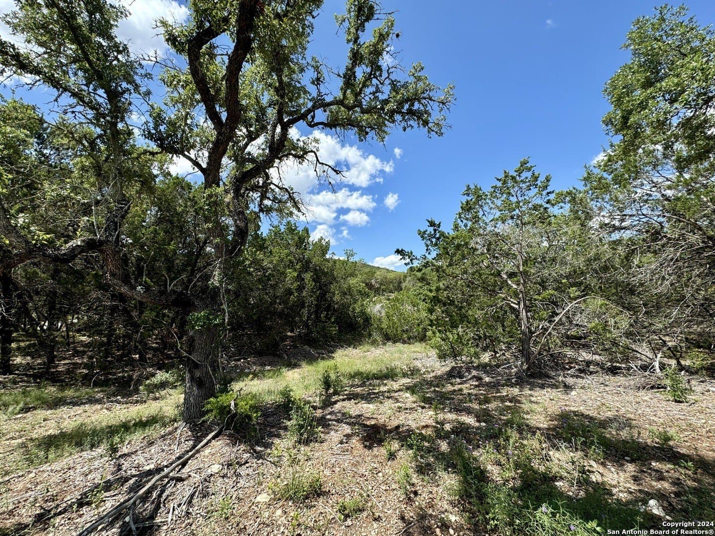 2.02 acres in Medina County - photo 9