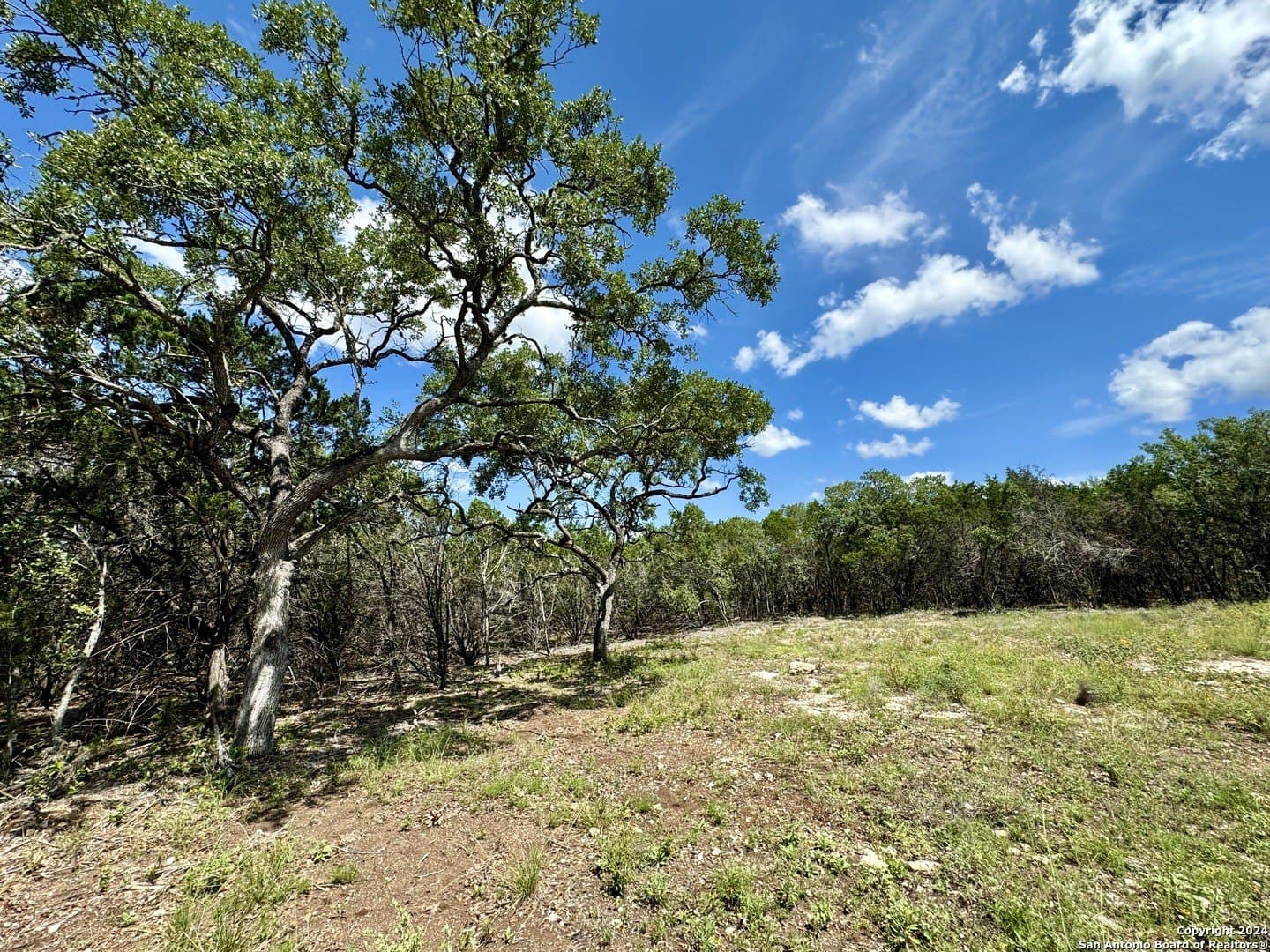 2.02 acres in Medina County - photo 10