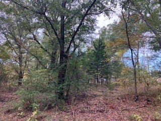 0.12 acres in Henderson County - photo 5