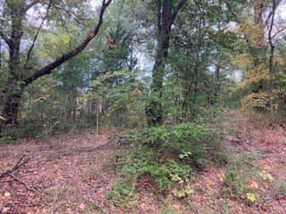 0.12 acres in Henderson County - photo 4