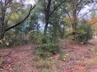 0.12 acres in Henderson County - photo 3