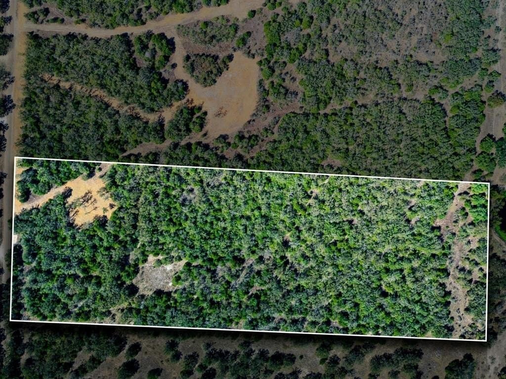 14 acres in Burleson County - photo 10