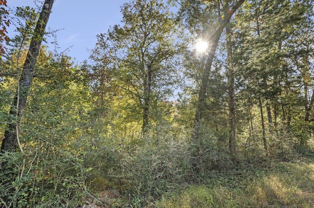 25.33 acres in Texas County - photo 8