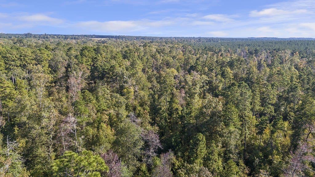 25.33 acres in Texas County - photo 7