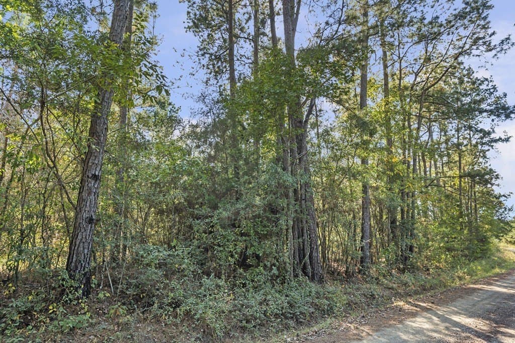 25.33 acres in Texas County - photo 9
