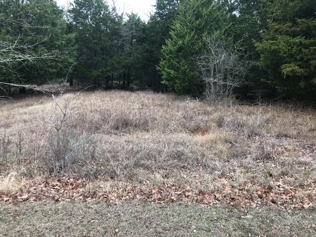 1 acres in Freestone County - photo 11