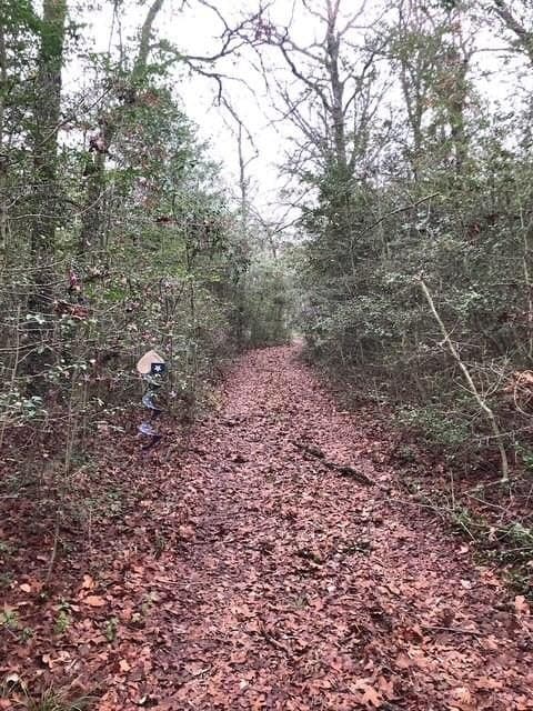 1 acres in Freestone County - photo 14