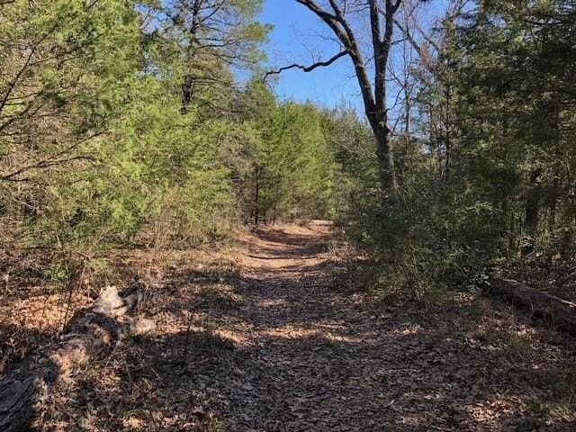 1 acres in Freestone County - photo 6