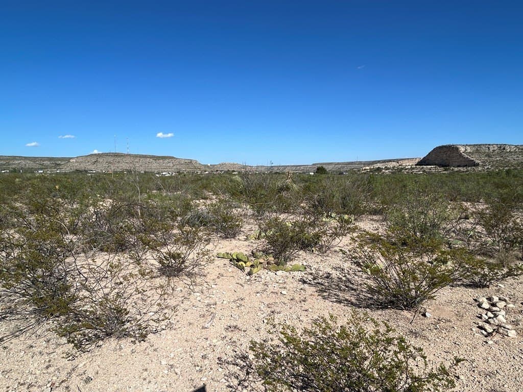 21.67 acres in Terrell County - photo 13