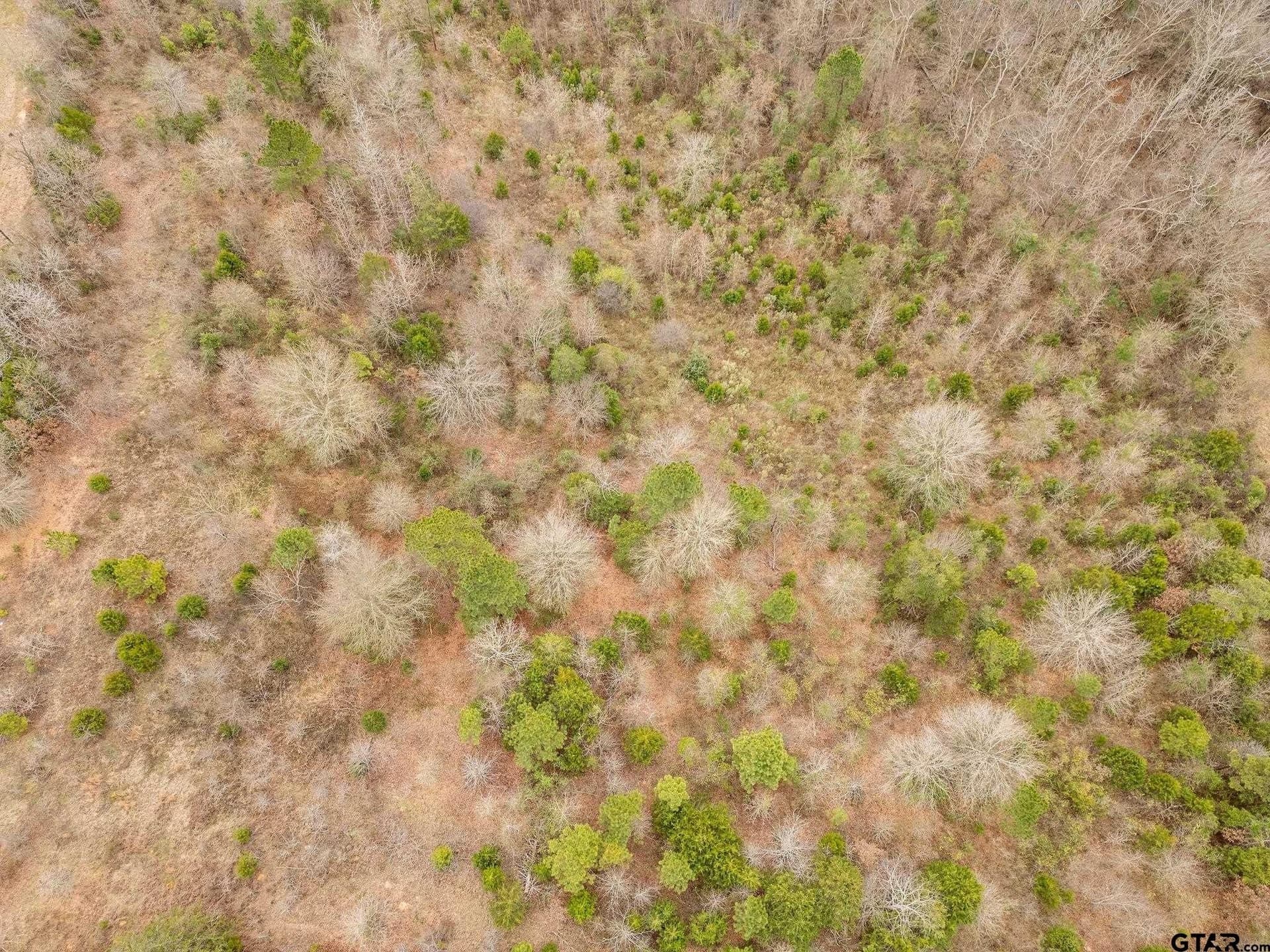 10 acres in Upshur County - photo 4