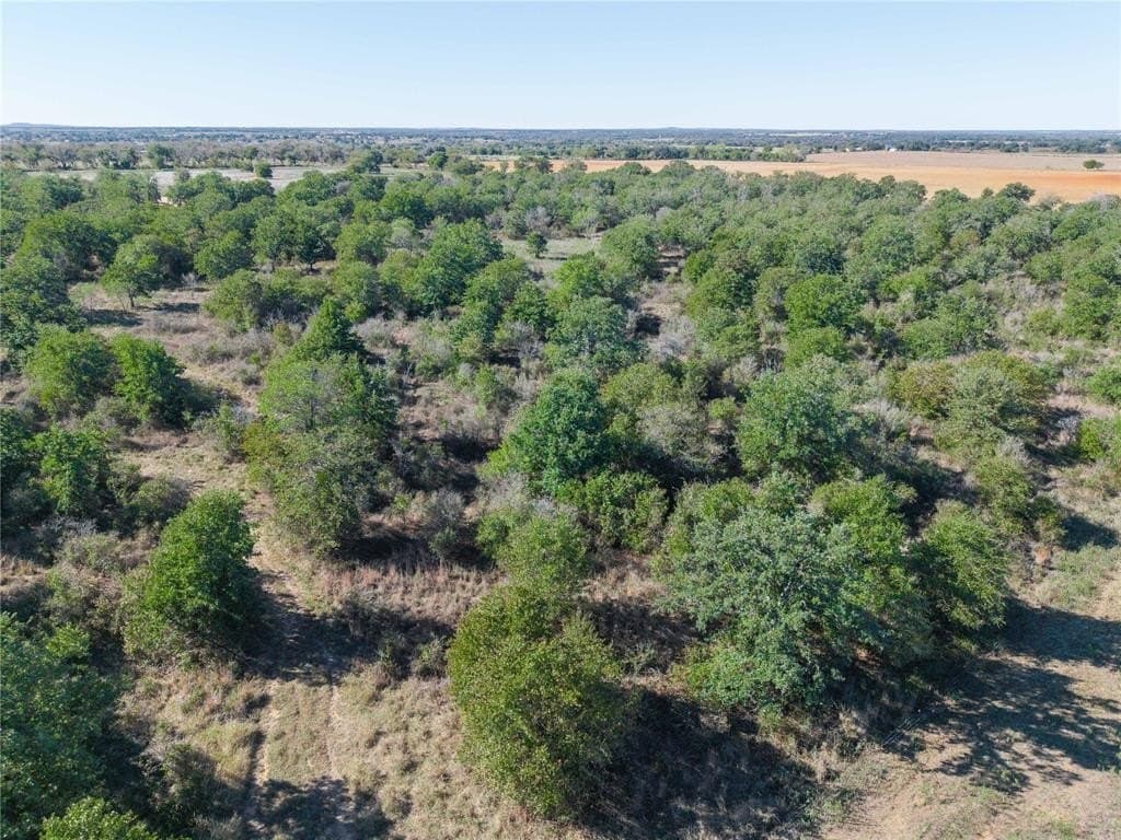 139 acres in Eastland County - photo 26