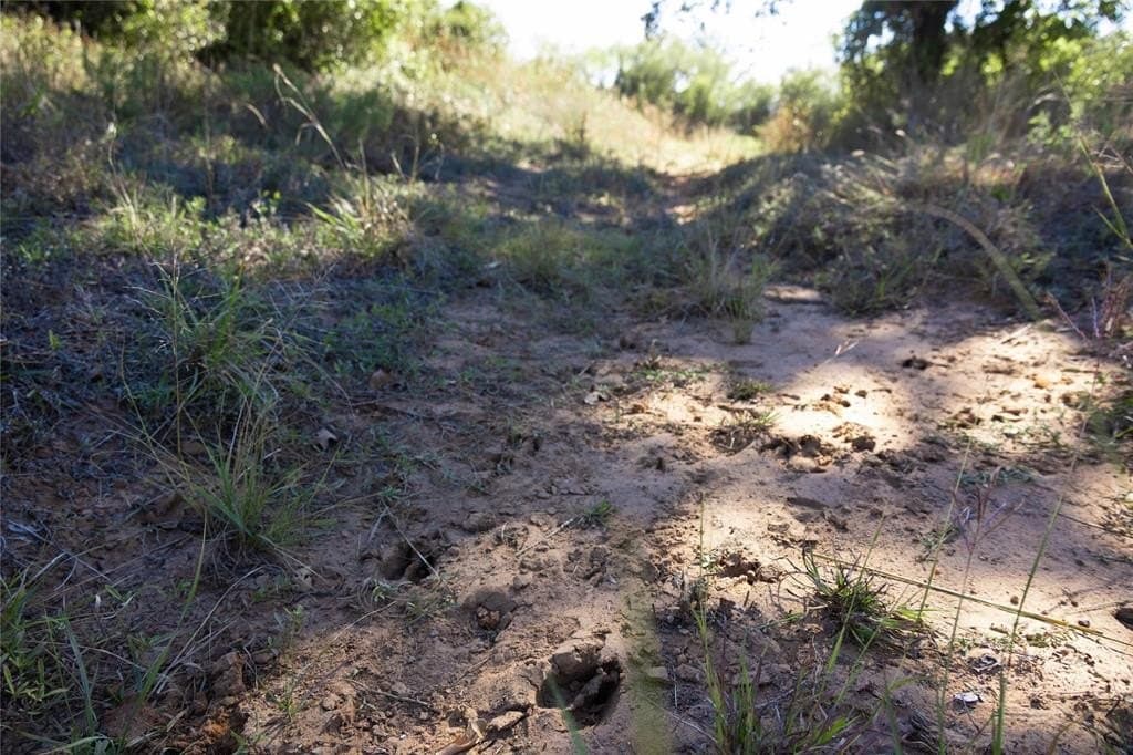 139 acres in Eastland County - photo 21