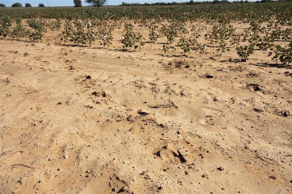 139 acres in Eastland County - photo 23