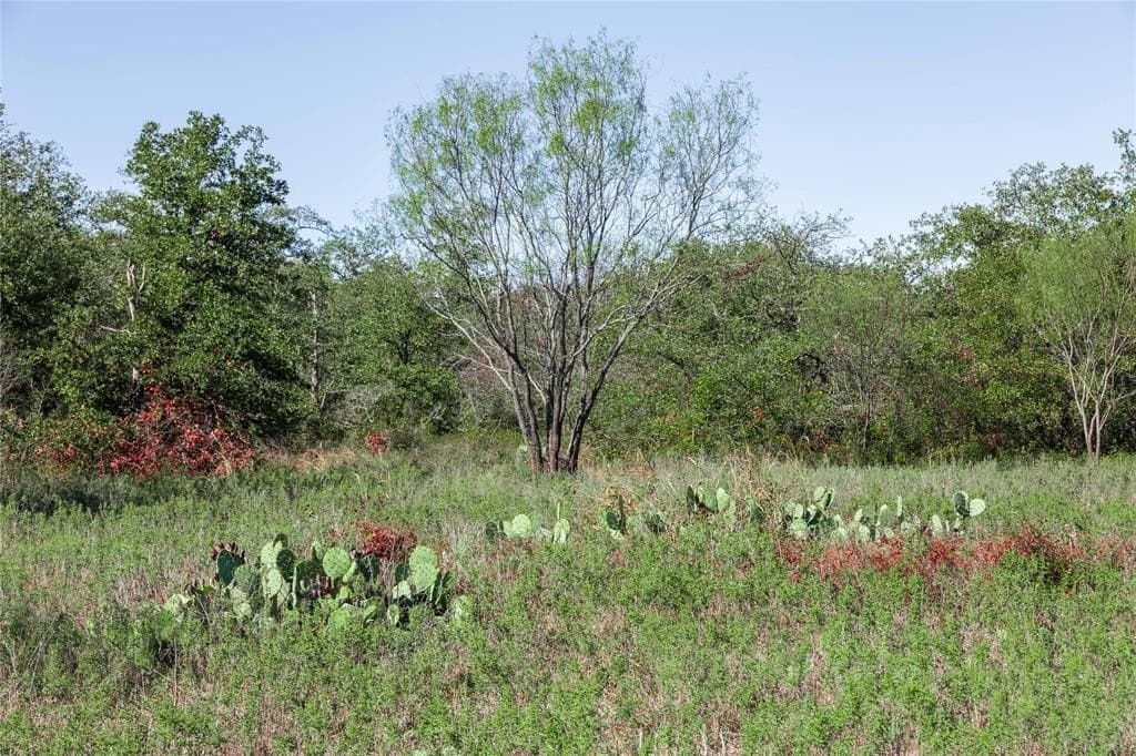 139 acres in Eastland County - photo 20