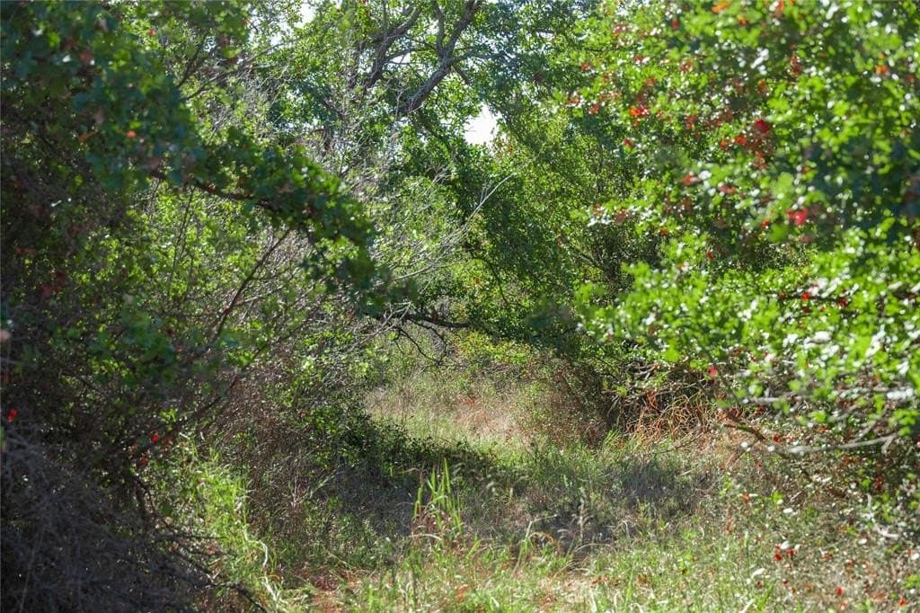 139 acres in Eastland County - photo 5