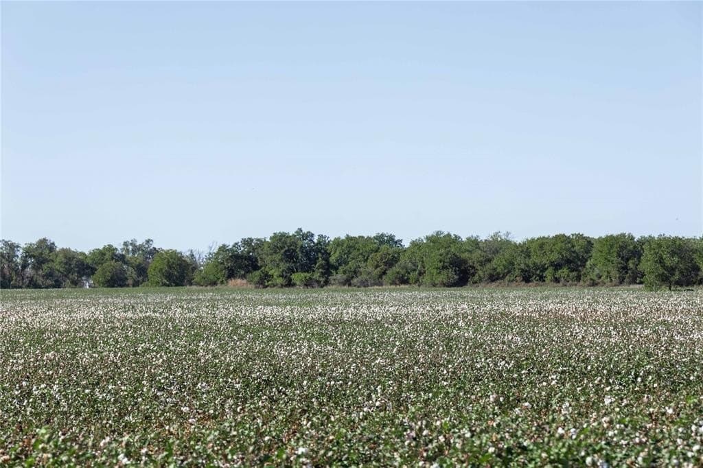139 acres in Eastland County - photo 16