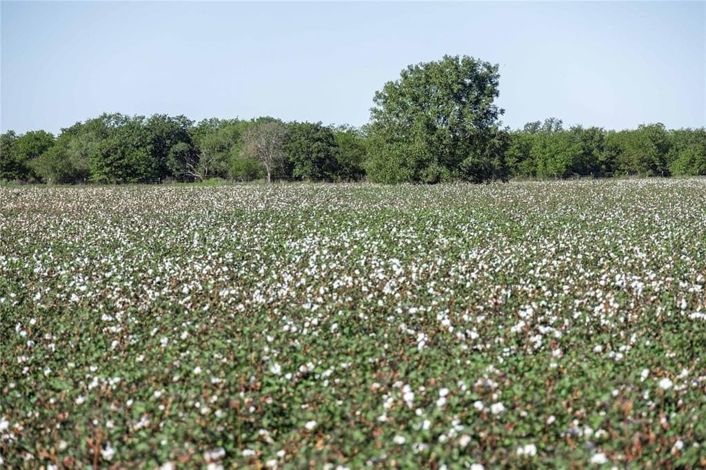 139 acres in Eastland County - photo 15
