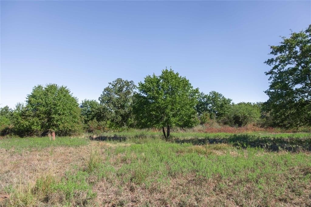 139 acres in Eastland County - photo 22