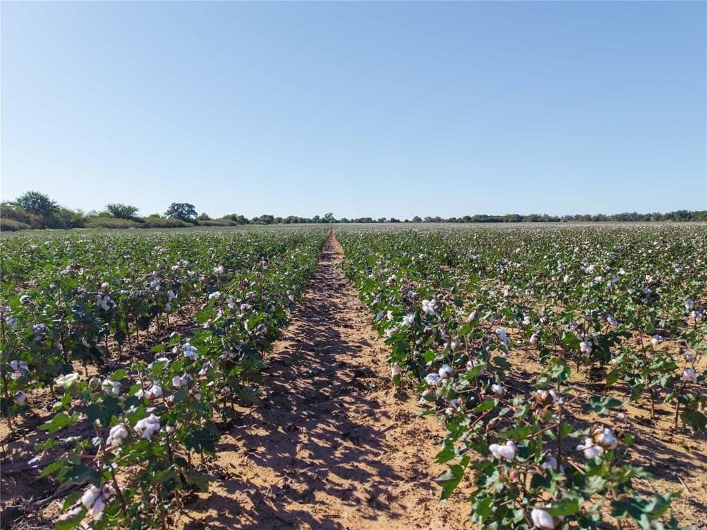 139 acres in Eastland County - photo 14