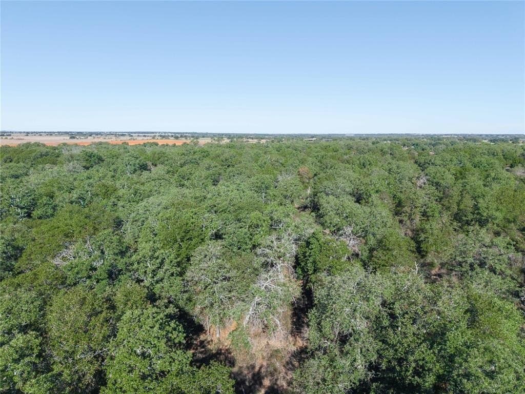 139 acres in Eastland County - photo 13