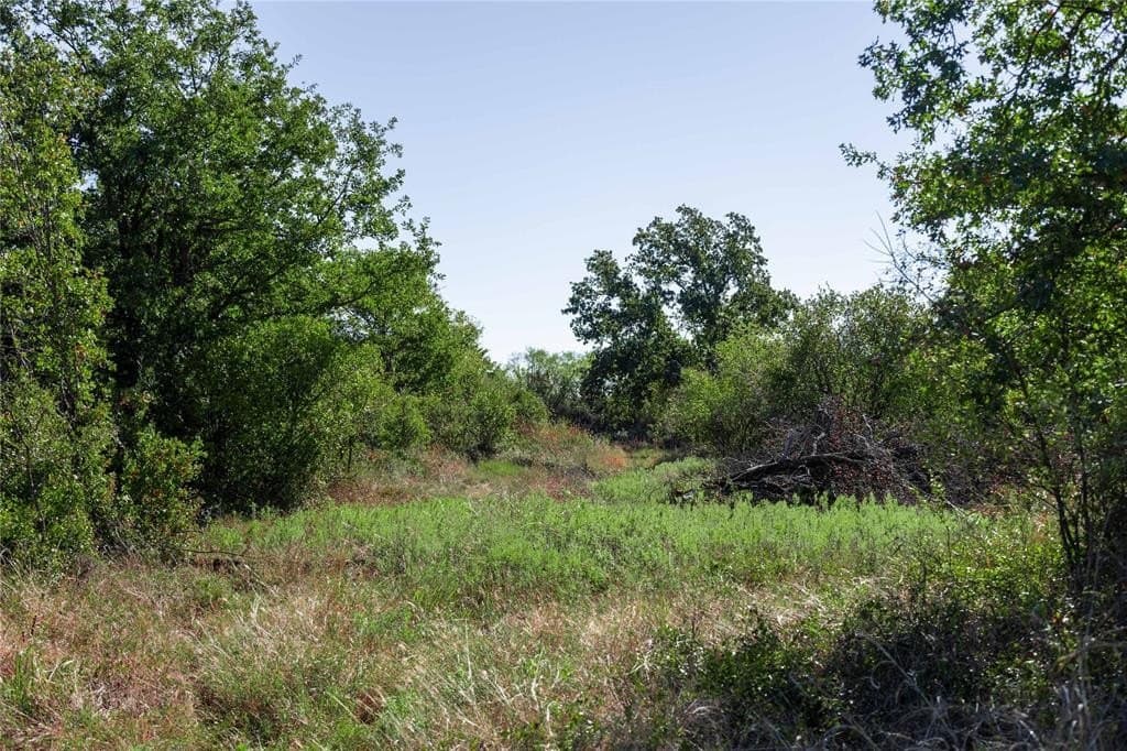 139 acres in Eastland County - photo 4