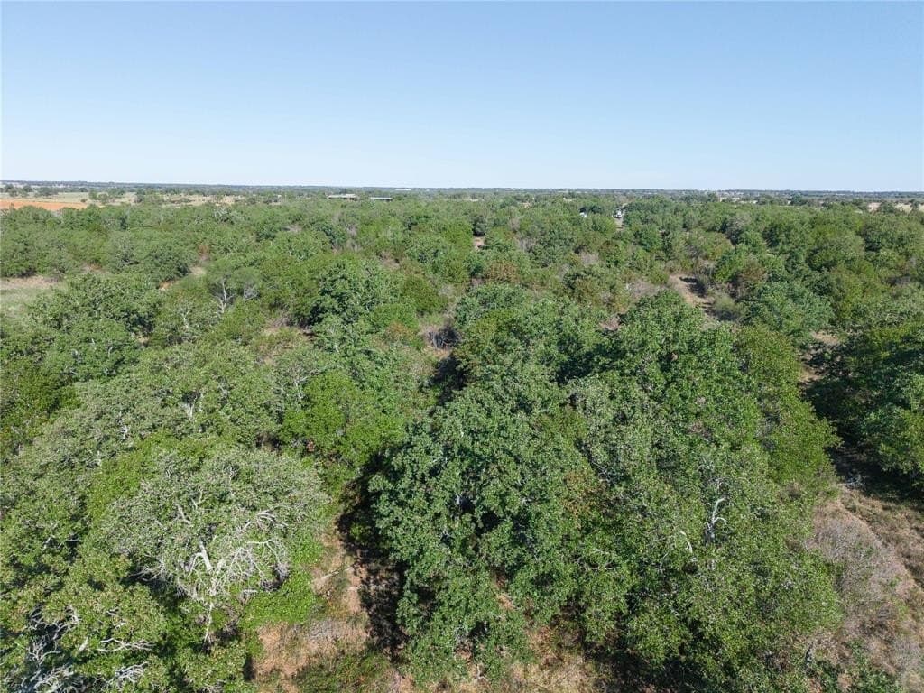 139 acres in Eastland County - photo 25