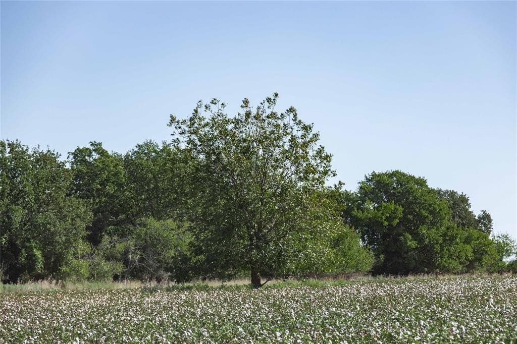 139 acres in Eastland County - photo 12