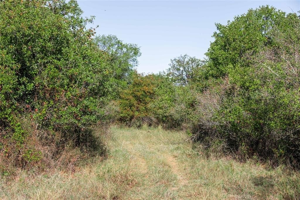 139 acres in Eastland County - photo 18