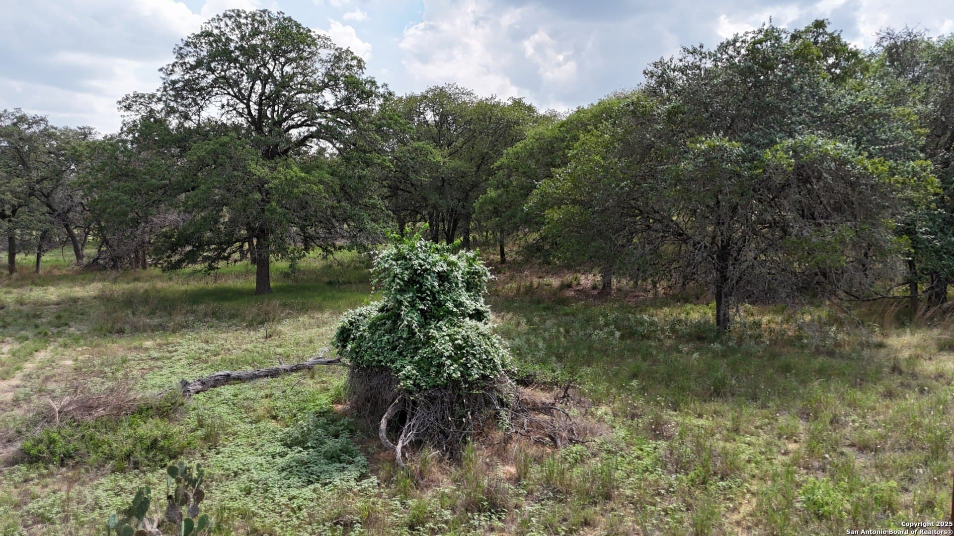 2.97 acres in Wilson County - photo 3