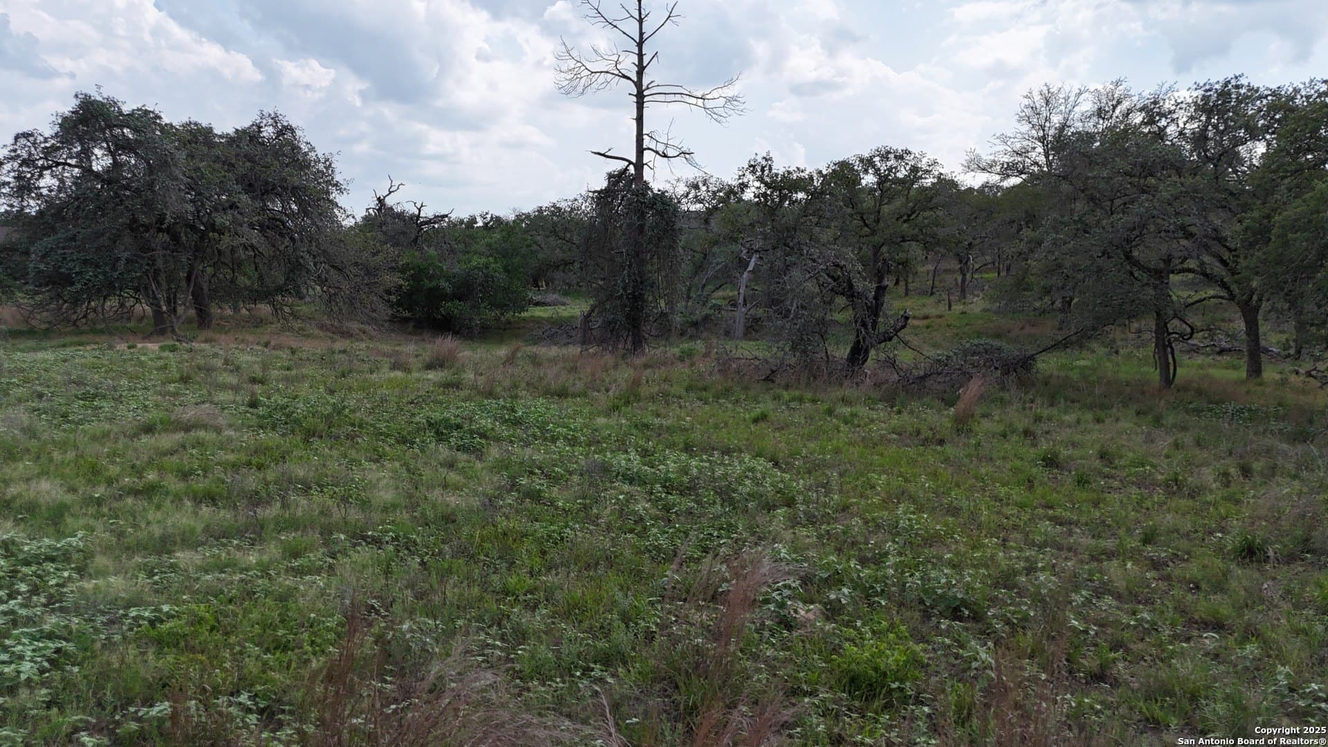 2.97 acres in Wilson County - photo 5