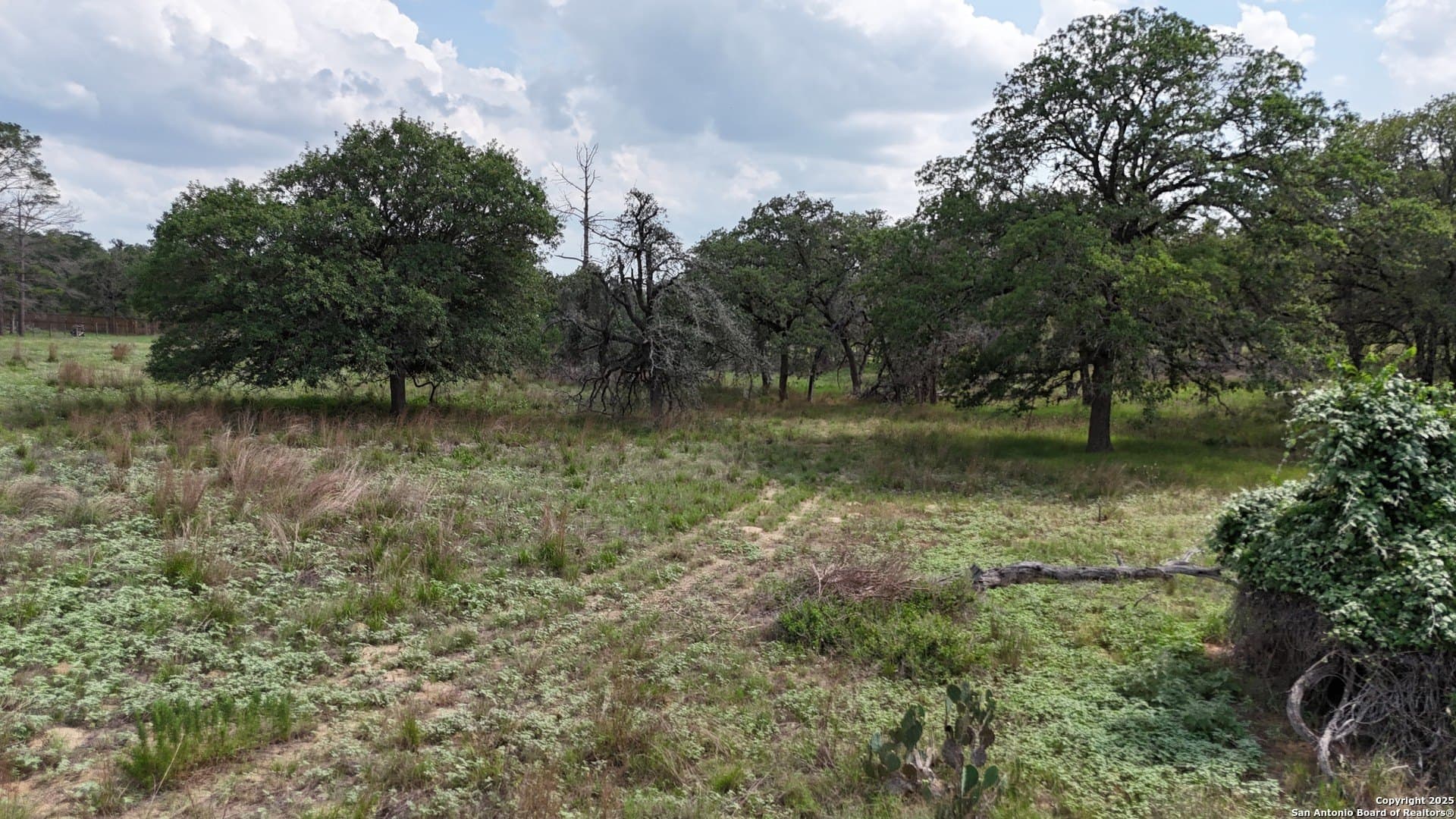 2.97 acres in Wilson County - photo 4