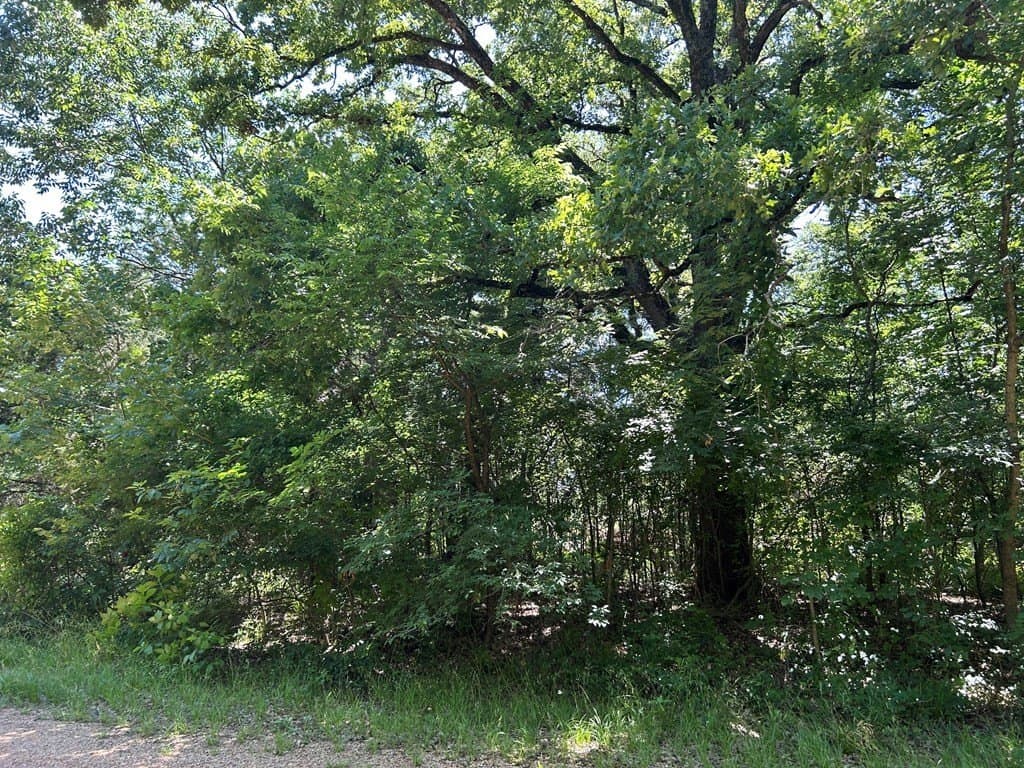 0.1 acres in Henderson County - photo 6