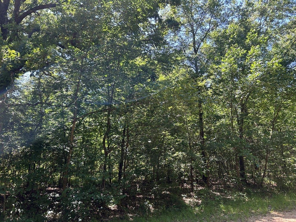 0.1 acres in Henderson County - photo 7