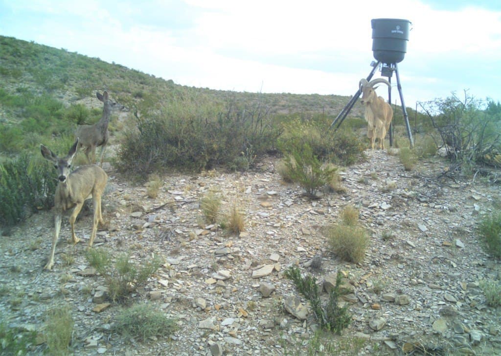 97 acres in Brewster County - photo 30