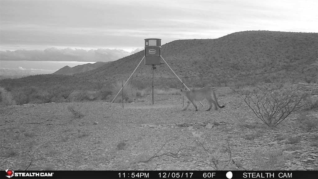 97 acres in Brewster County - photo 39