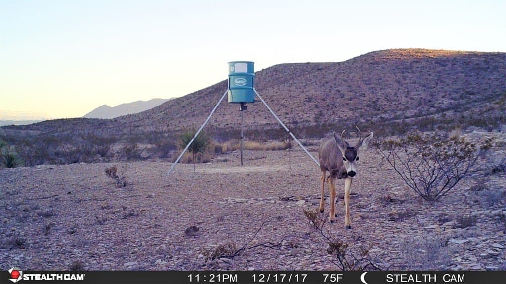 97 acres in Brewster County - photo 29