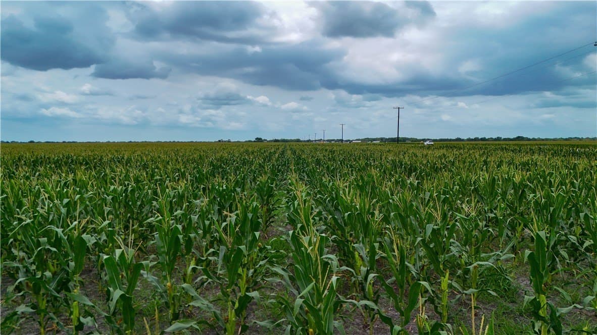 15 acres in Jim Wells County - photo 7