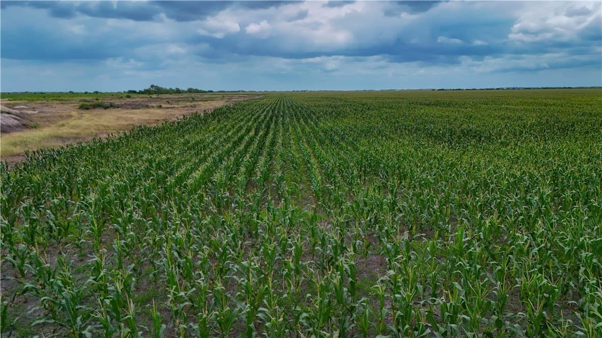 15 acres in Jim Wells County - photo 8