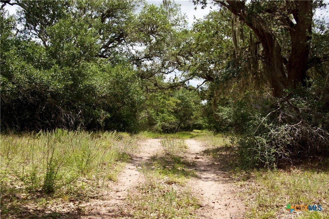 20.1 acres in DeWitt County - photo 19