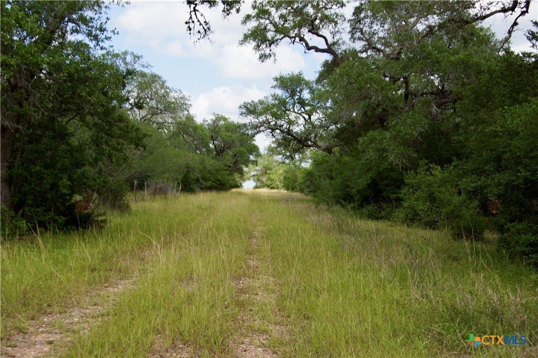 20.1 acres in DeWitt County - photo 24