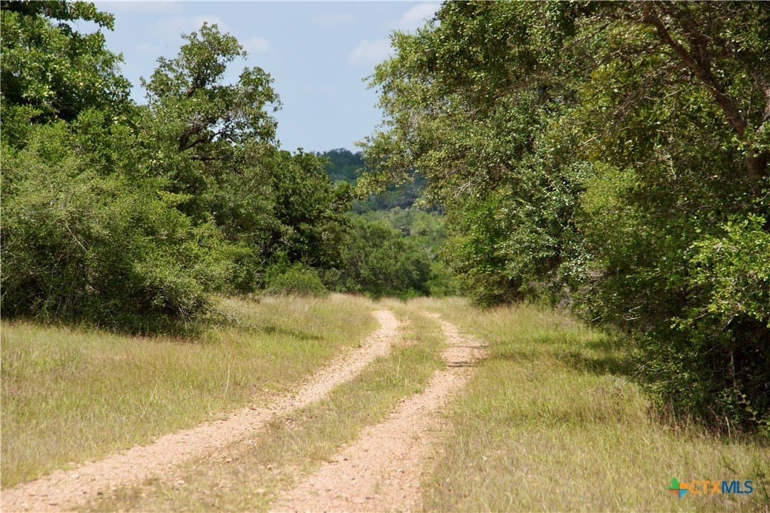20.1 acres in DeWitt County - photo 3