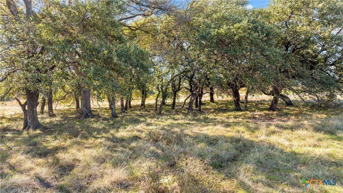 5 acres in Coryell County - photo 2