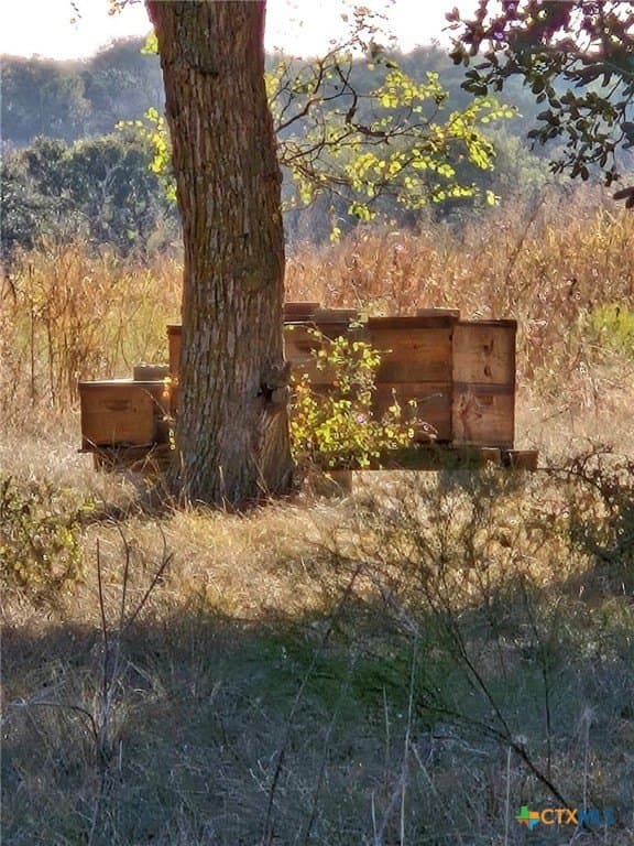 5 acres in Coryell County - photo 3